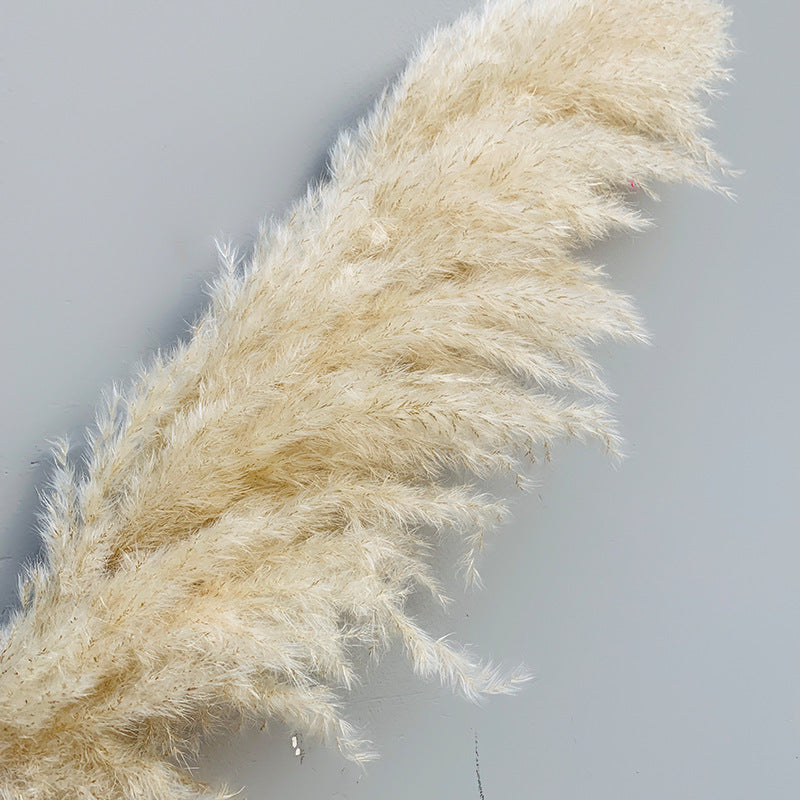 Reed dried flower bouquet