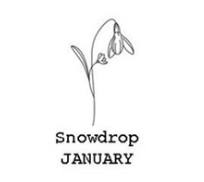 Hot Sale Birth Flower Necklace 925 Silver