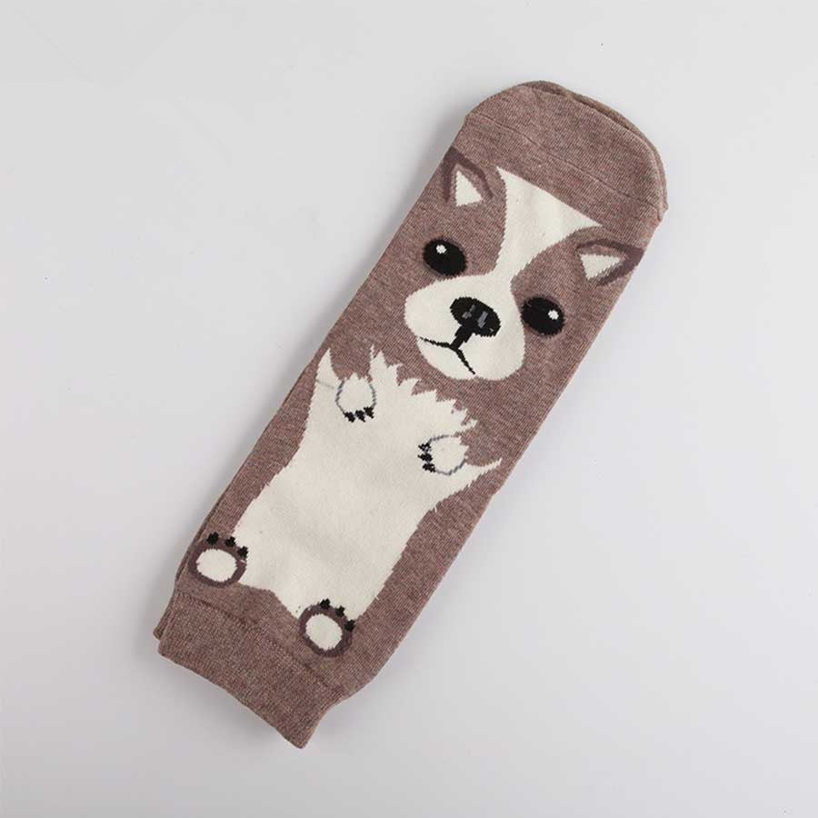 Cute cartoon dog expression female socks