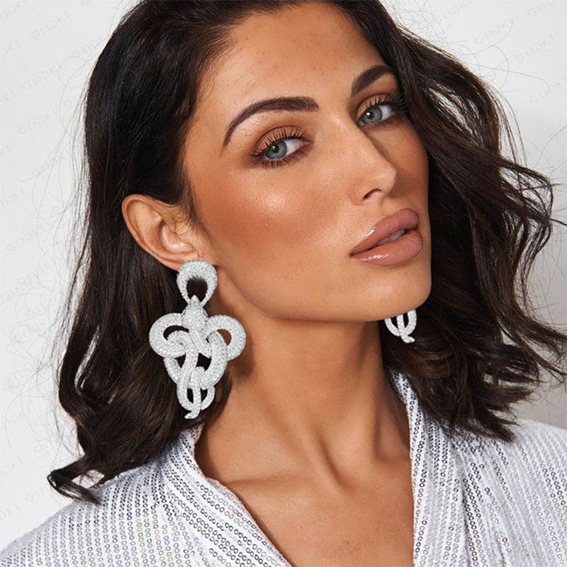 Big twisted snake exaggerated wide Earrings