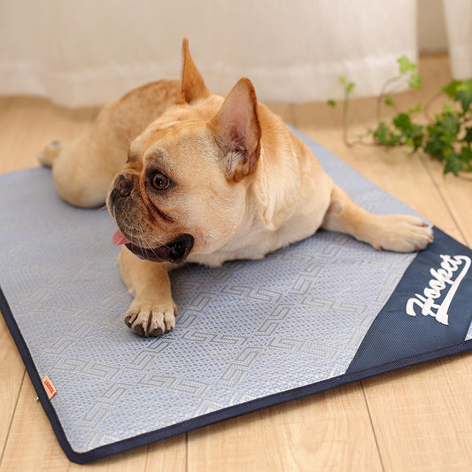 Dog Cooling Mat Summer Pad Mat For Dogs Cat Breathable Blanket Cat Ice Pads Washable Sofa Breathable Pet Dog Bed Pet Mat