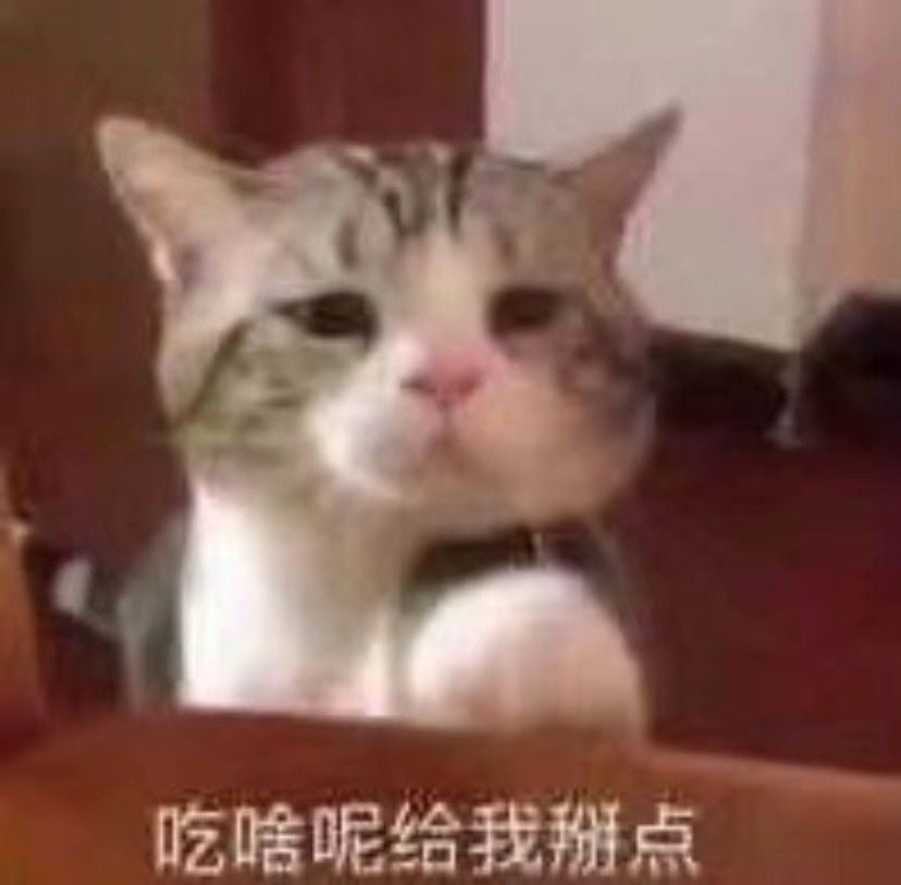 Padded Sweater Pocket Trousers Casual Two-piece Padded Sweater Pocket Trousers Casual Two-piece Padded Sweater Pocket Trousers Casual Two-piece Padded Sweater Pocket Trousers Casual Two-piece Padded